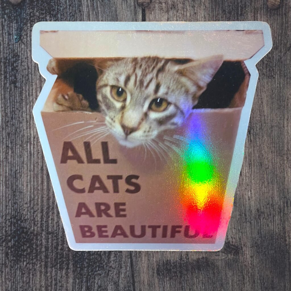 Autocollant chat all cats are beautiful holographique
