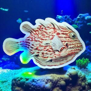 Autocollant poisson holographique Aracana Auris – Vinyle Holographique Laminé – Illustration Haeckel, Art et Nature