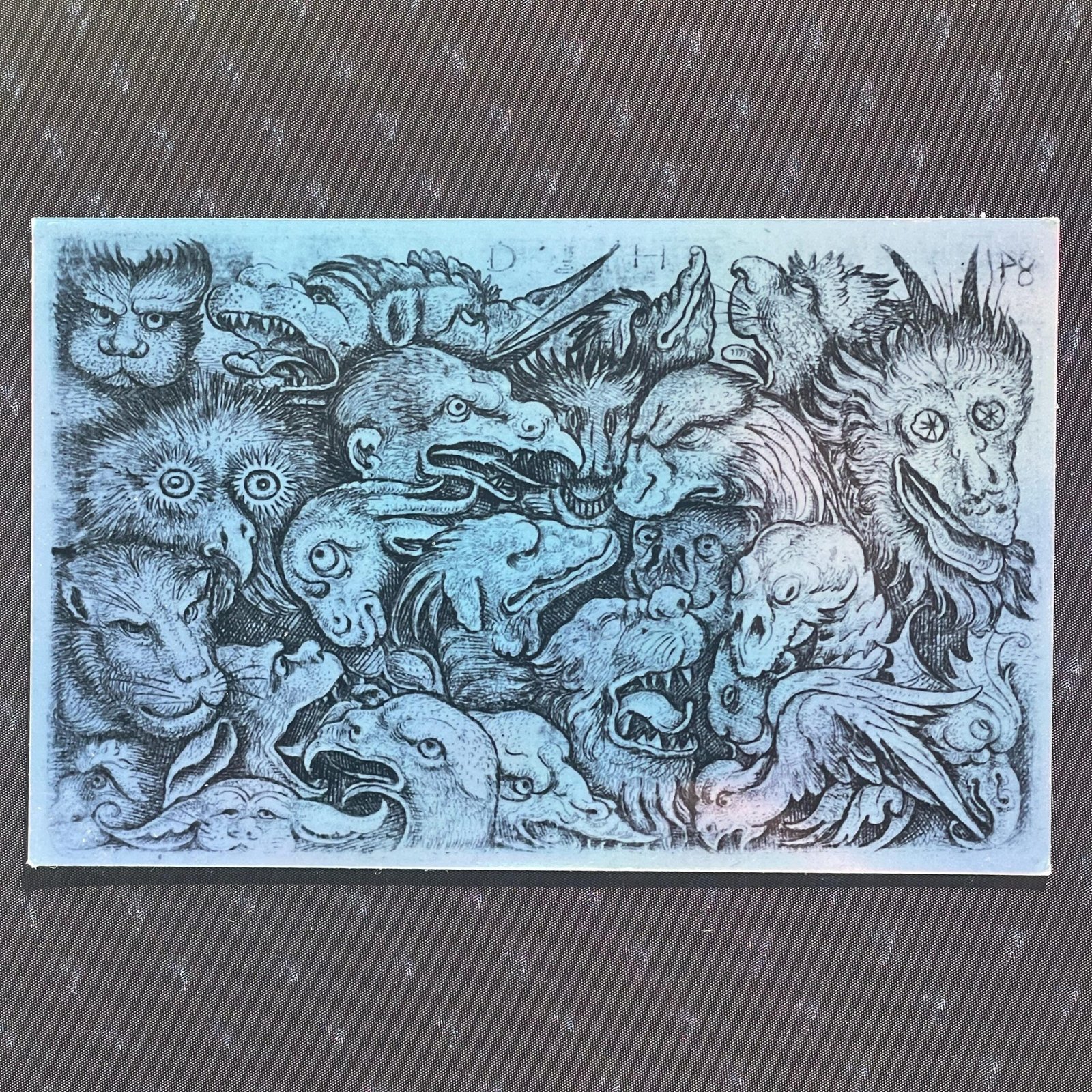 Autocollant Gravure Renaissance Animaux Grotesques Iridescent – Daniel Hopfer (XVIᵉ siècle) – Vinyle Holographique Laminé – 9,5 × 6 cm – Image 2