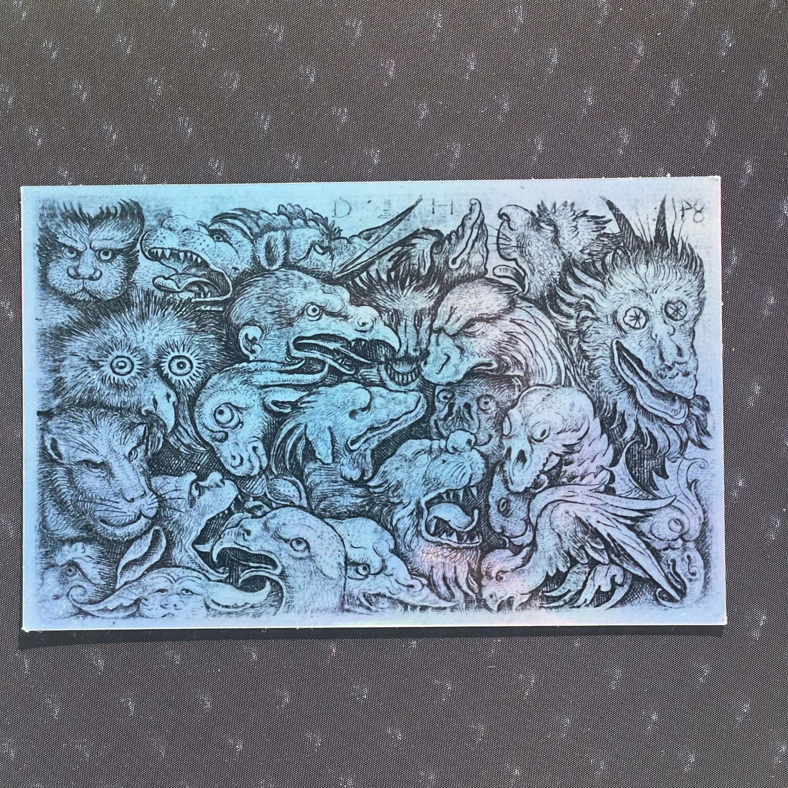 Autocollant Gravure Renaissance Animaux Grotesques Iridescent – Daniel Hopfer (XVIᵉ siècle) – Vinyle Holographique Laminé – 9,5 × 6 cm – Image 7
